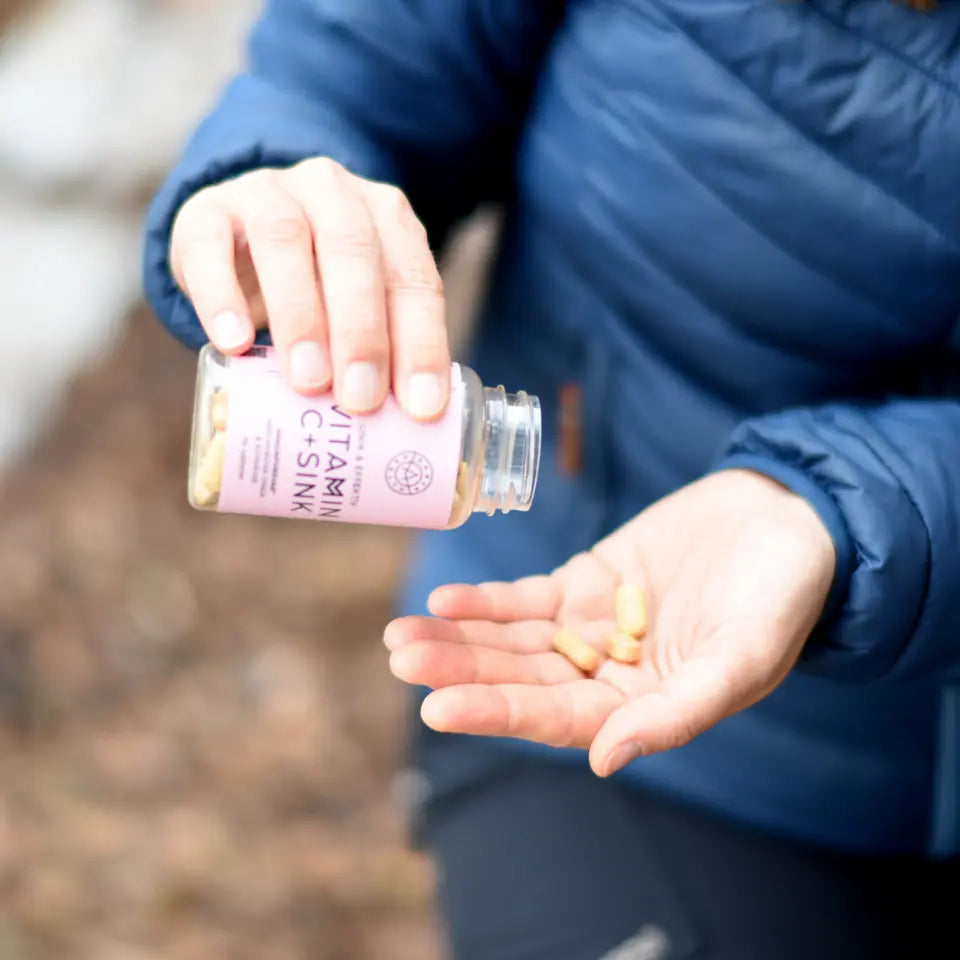 VITAMIN C 500, SINK & CHAGA Aarja Health