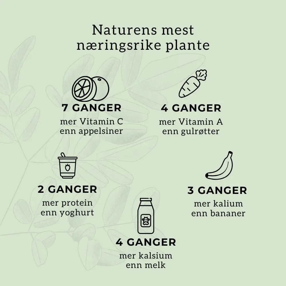 MORINGA (naturens multivitamin) Aarja Health Norge
