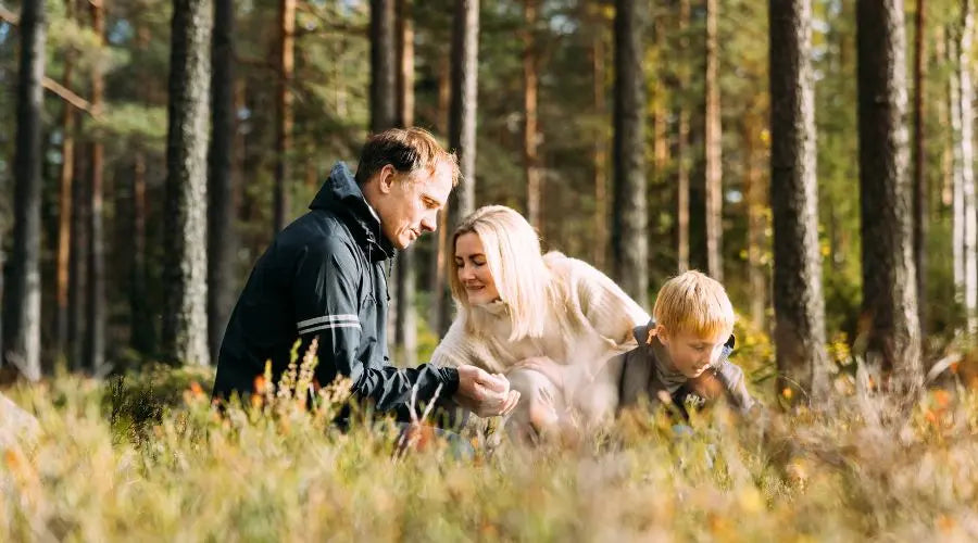 5 helsefordeler du ikke visste om bær Aarja Health Norge