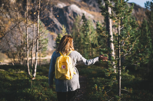 4-skjulte-hormonforstyrrere-og-hvordan-du-unngår-dem Aarja Health Norge