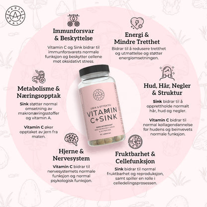 VITAMIN C 500, SINK & CHAGA Aarja Health