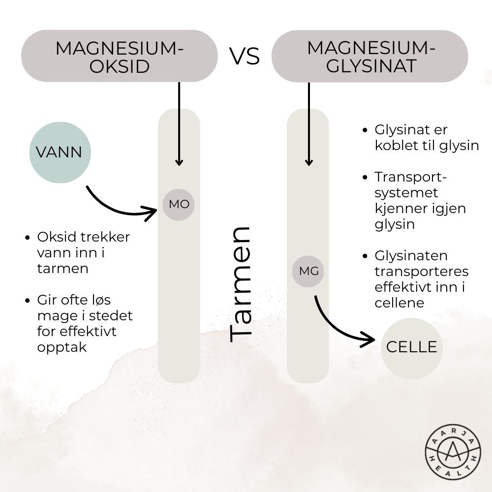 ZMA - MAGNESIUM GLYSINAT Aarja Health Norge