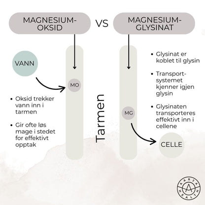 ZMA - MAGNESIUM GLYSINAT Aarja Health Norge