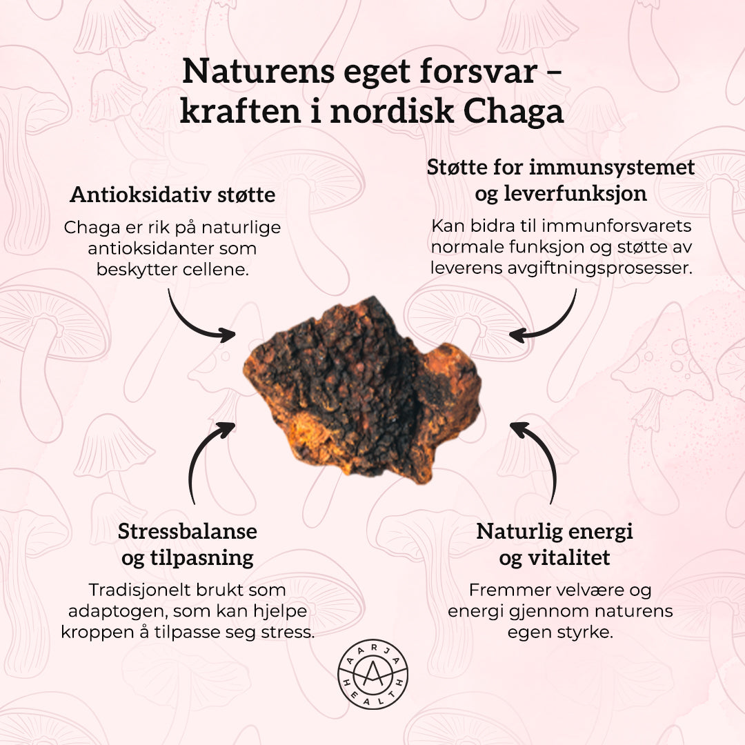 VITAMIN C 500, SINK & CHAGA Aarja Health