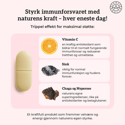 VITAMIN C 500, SINK & CHAGA Aarja Health