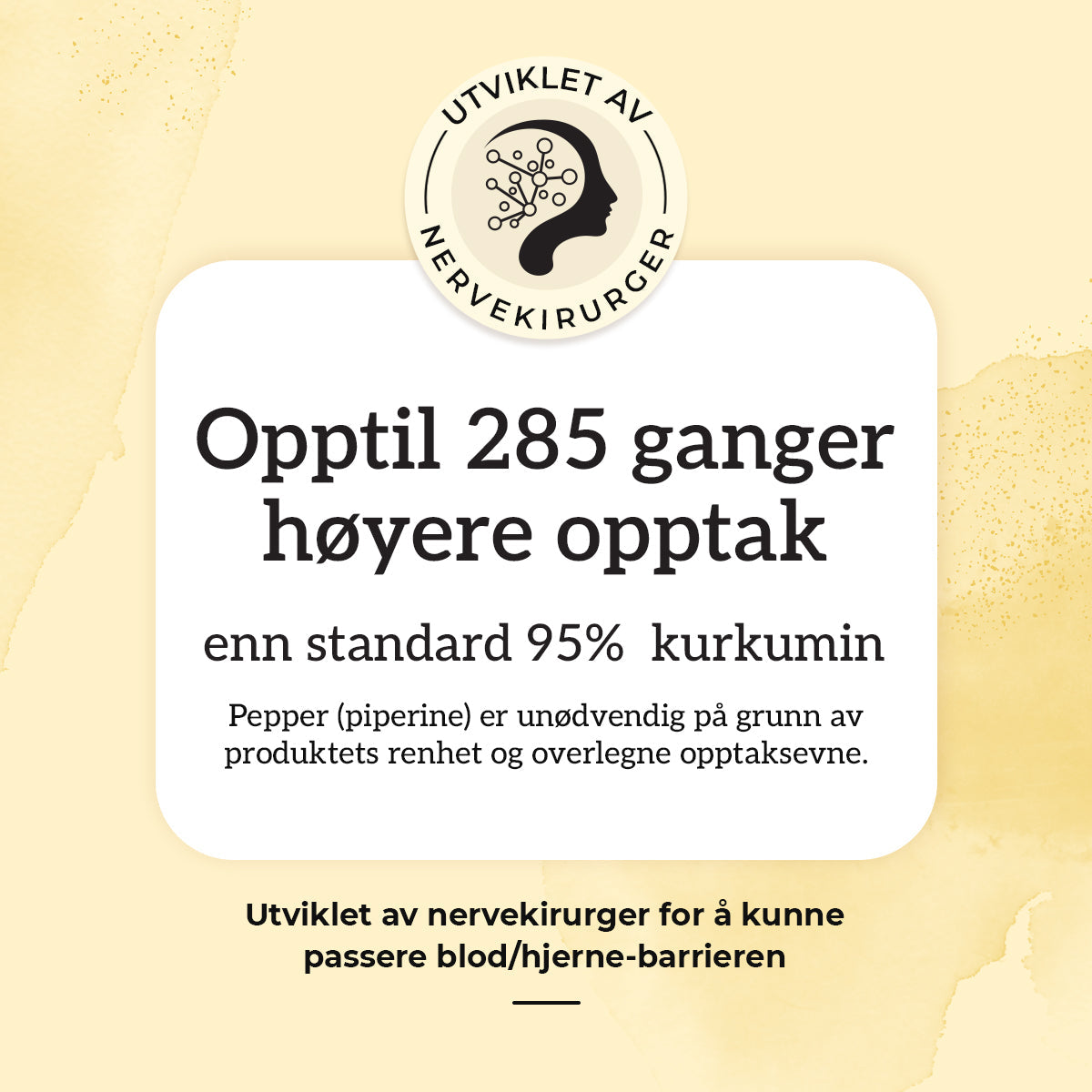 KURKUMIN, INGEFÆR & B12 Aarja Health