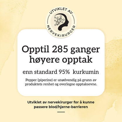 KURKUMIN, INGEFÆR & B12 Aarja Health