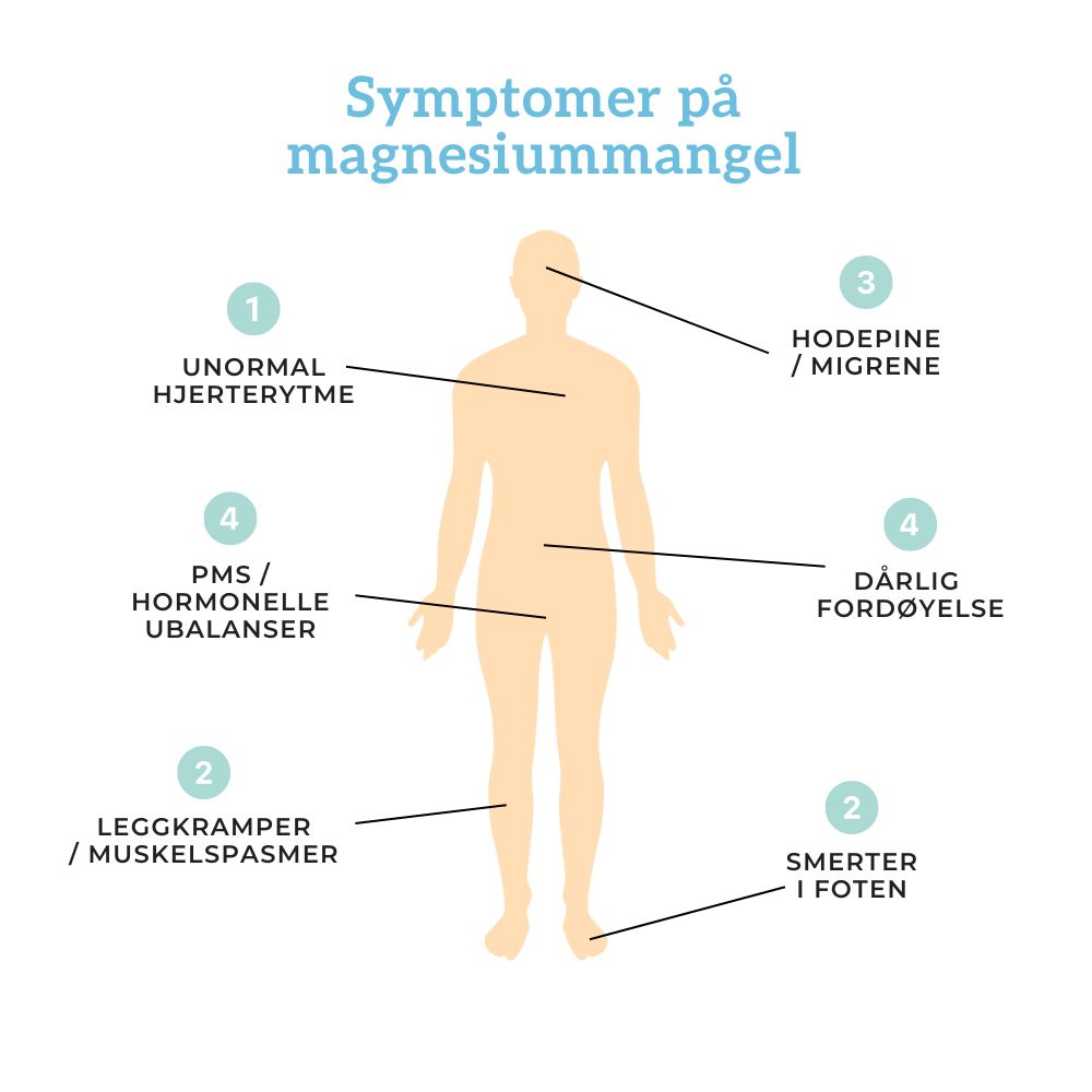 TRIPPEL MAGNESIUM, SINK & B6 Aarja Health