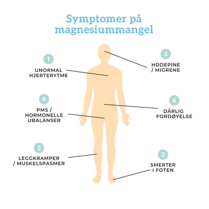 TRIPPEL MAGNESIUM, SINK & B6 Aarja Health