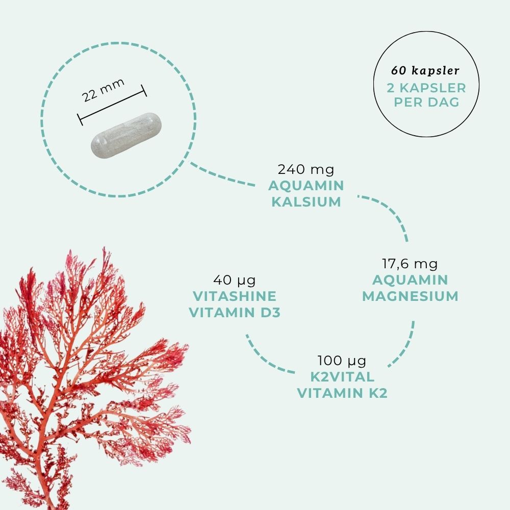 KALSIUM, D3 & K2 Aarja Health