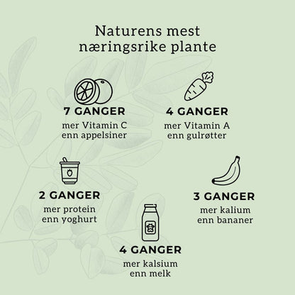 MORINGA (naturens multivitamin) Aarja Health Norge