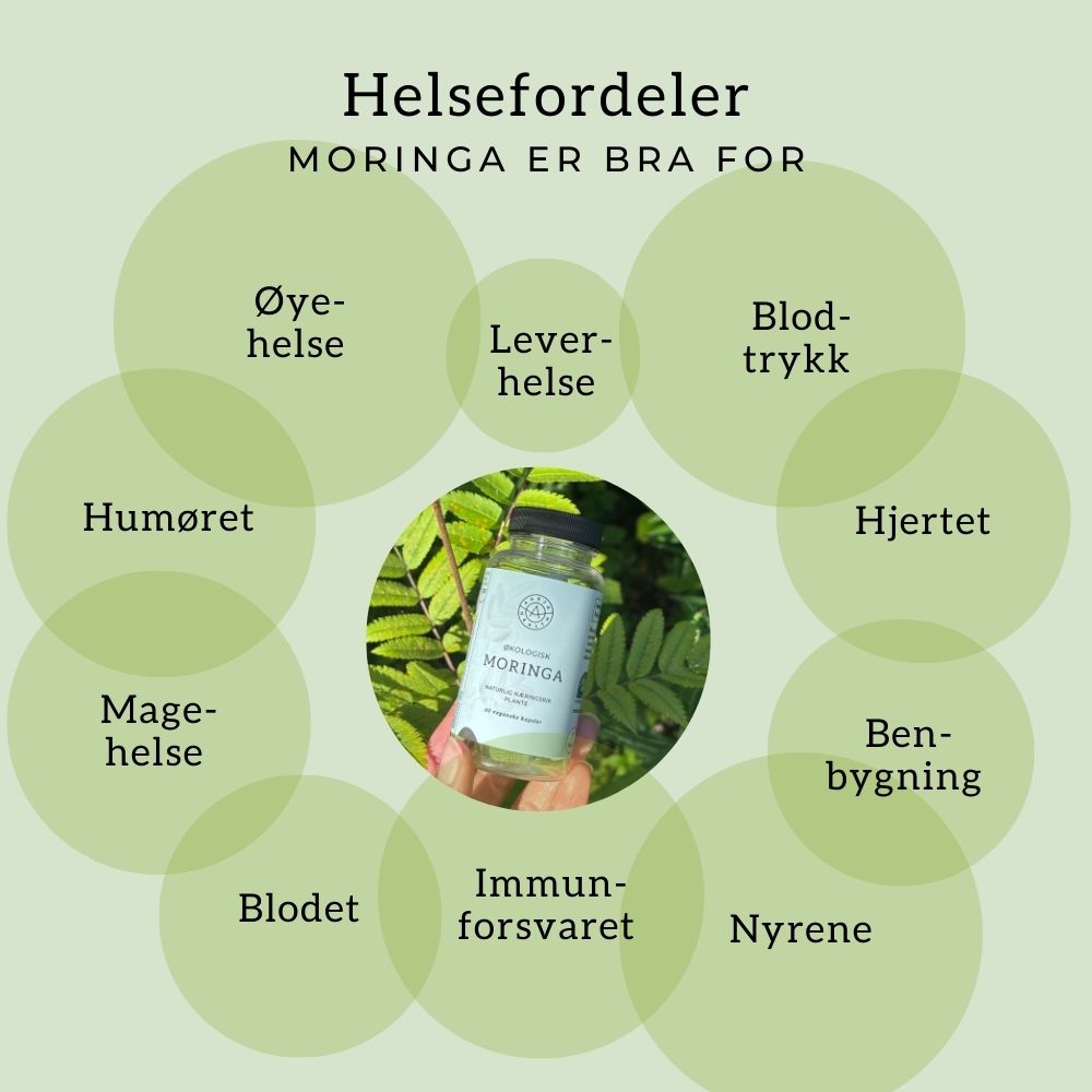 MORINGA (naturens multivitamin) Aarja Health Norge