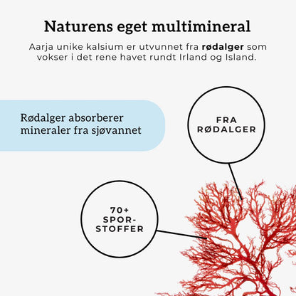 KALSIUM, D3 & K2 Aarja Health
