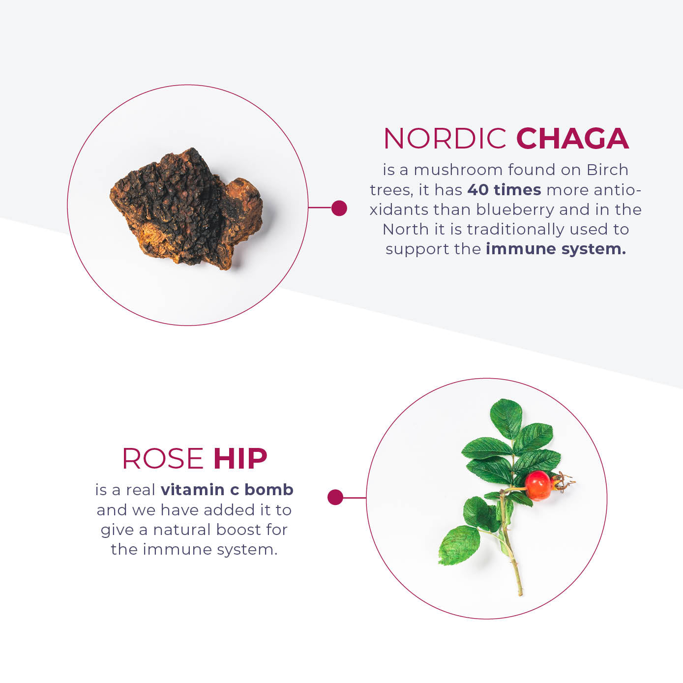 VITAMIN C 500 + ZINC + CHAGA (VEGAN)
